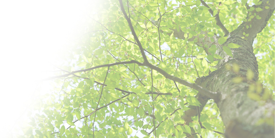 社長からのメッセージ